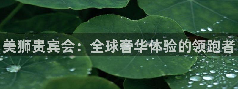 7790必发集团体育2官网入口：美狮贵宾会：全球奢华体验的领跑者