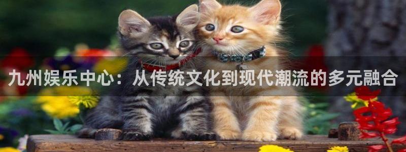 7790必发集团4平台：九州娱乐中心：从传统文化到现代潮流的多元融合