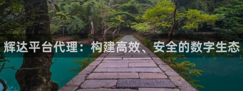 7790必发集团4平台注册：辉达平台代理：构建高效、安全的数字生态