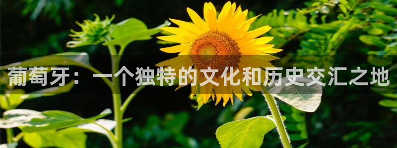 福建7790必发集团机电股份公司：葡萄牙：一个独特的文化和历史交汇之地