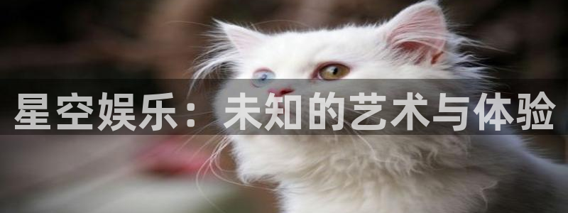 7790必发集团集团：星空娱乐：未知的艺术与体验