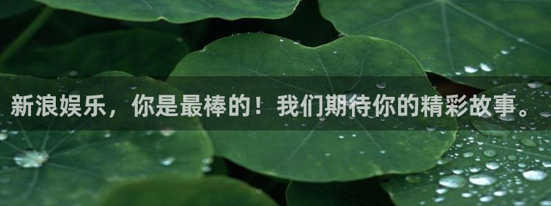 7790必发集团招商：新浪娱乐，你是最棒的！我们期待你的精彩故事。