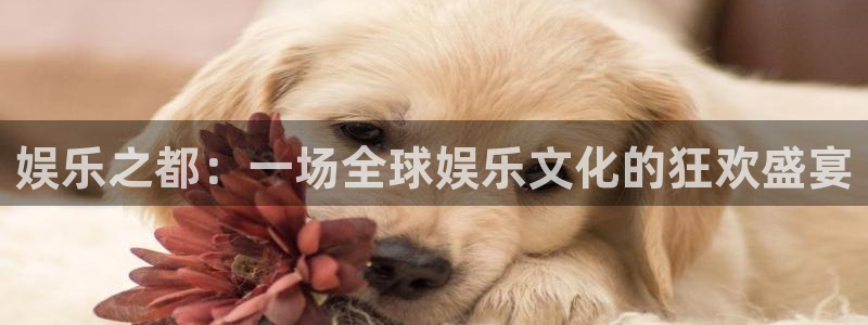 7790必发集团官网：娱乐之都：一场全球娱乐文化的狂欢盛宴