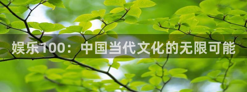 7790必发集团体育凯捷代理注册：娱乐100：中国当代文化的无限可能