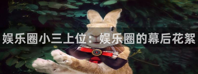 7790必发集团官网：娱乐圈小三上位：娱乐圈的幕后花絮