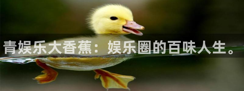7790必发集团：青娱乐大香蕉：娱乐圈的百味人生。