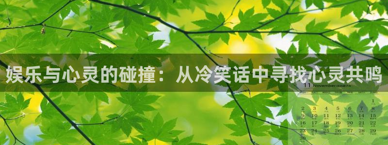 东莞市7790必发集团电子科技有限公司：娱乐与心灵的碰撞：从冷笑话中寻找心灵共鸣