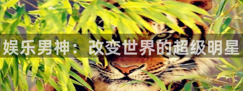 7790必发集团2体育登录入口：娱乐男神：改变世界的超级明星