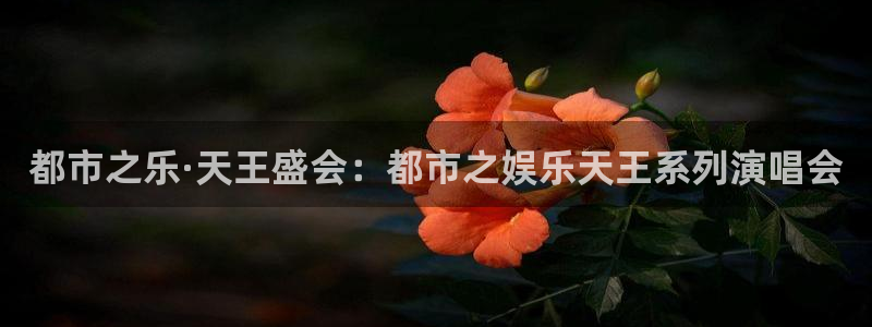 7790必发集团登陆：都市之乐·天王盛会：都市之娱乐天王系列演唱会