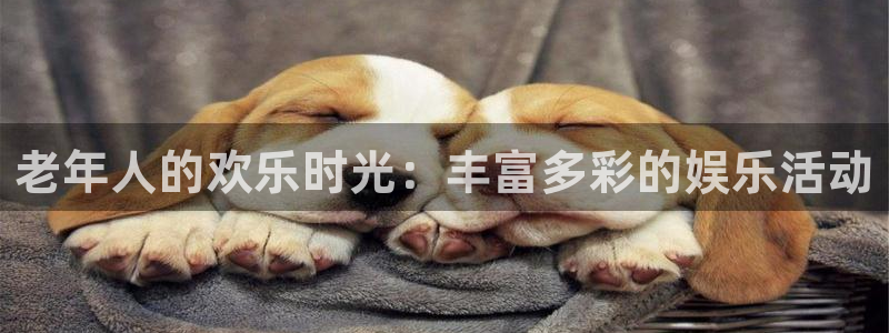 7790必发集团4代理：老年人的欢乐时光：丰富多彩的娱乐活动