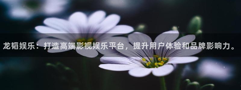 7790必发集团体育论坛：龙韬娱乐：打造高端影视娱乐平台，提升用户体验和品牌影响力。