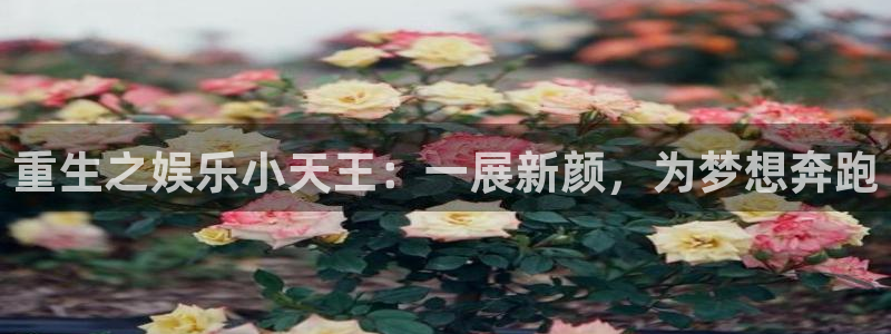 7790必发集团平台开户链接：重生之娱乐小天王：一展新颜，为梦想奔跑