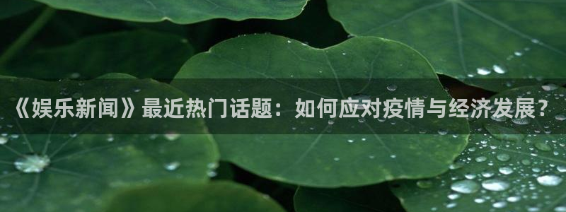 7790必发集团2登录入口：《娱乐新闻》最近热门话题：如何应对疫情与经济发展？