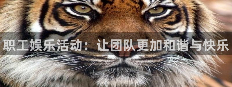 7790必发集团体育注册登录入口：职工娱乐活动：让团队更加和谐与快乐