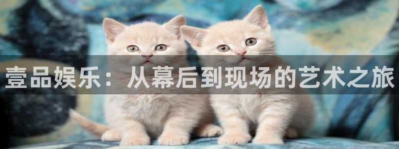 7790必发集团零能源集团：壹品娱乐：从幕后到现场的艺术之旅